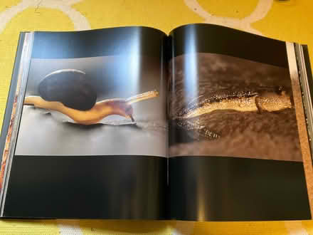 Photo of free āLifeā - HEAVY photography book (Seven Sisters N15) #3