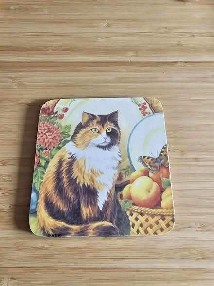 Photo of free Cat coaster (Oval Quarter SW9) #1