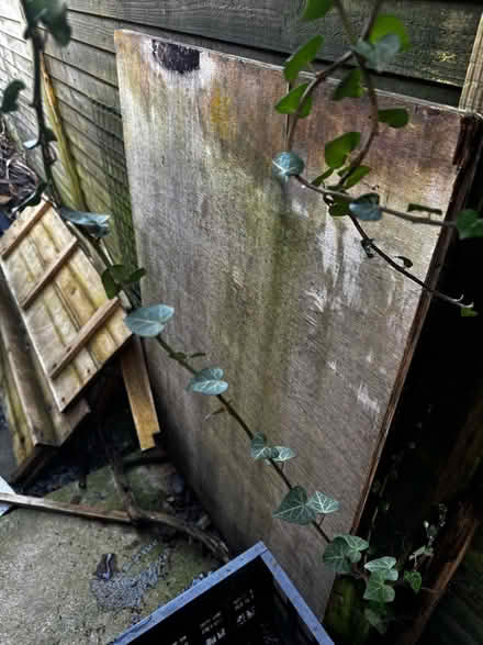 Photo of free Wood for Kindling / DIY Use (Sherwood TN2) #2