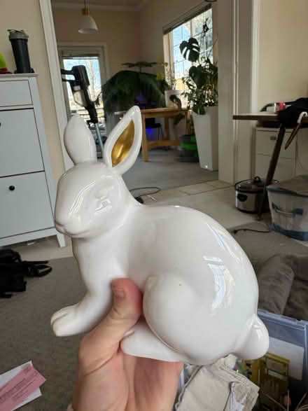 Photo of free Easter Supplies! 🐣 (Lafayette) #3