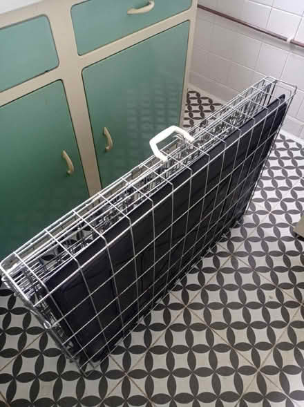 Photo of free Medium/large dog crate (used) (Ridge LA1) #2