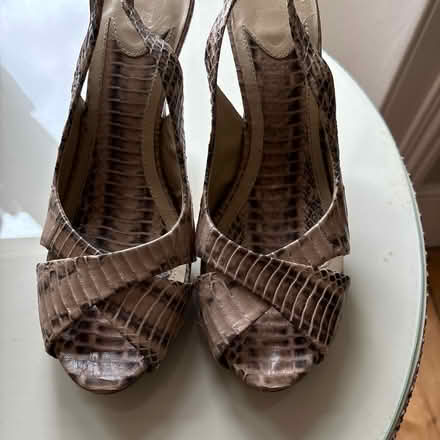 Photo of free Ash shoes size 6 (Limpley stoke BA2) #2