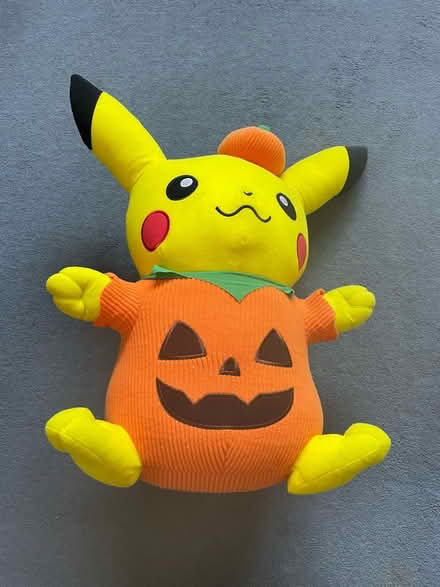 Photo of free Pikachu ! (East Dean BN20) #1