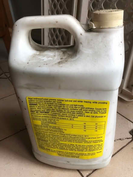 Photo of free Engine Antifreeze / Coolant (Toronto, Bloor and Ossington) #2