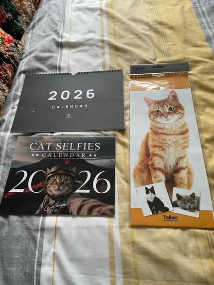 Photo of free Three 2006 calendars. (Severn Beach BS35) #1