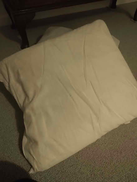 Photo of free square cushion pads (Dalry EH11) #1