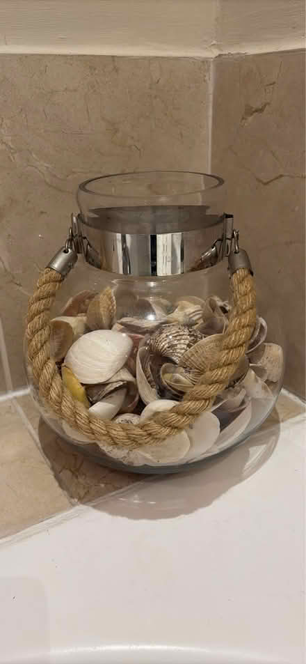 Photo of free Vase of shells (Limpley stoke BA2) #1