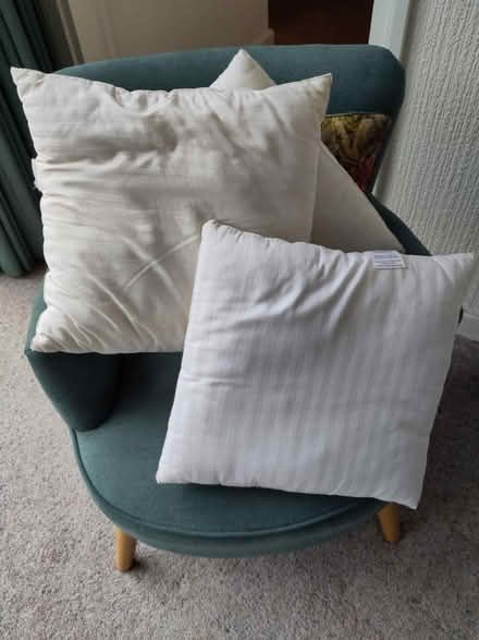 Photo of free 3 cushion pads (Morpeth, NE61) #1