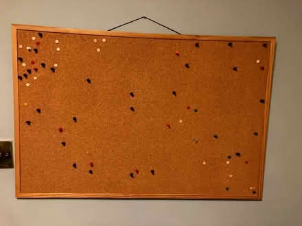 Photo of free Pinboard with pins (Seven Sisters N15) #1