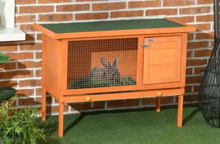 Photo of Rabbit Hutch (Terenure) #1