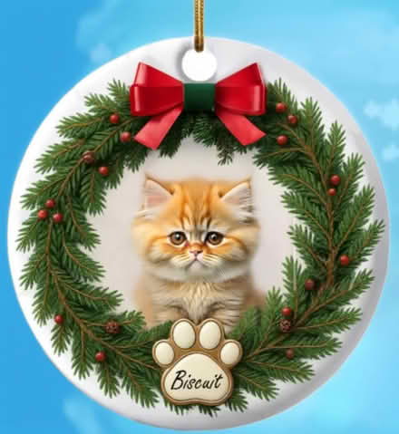 Photo of free New Tiles. crafts / splashbacks (Mosborough S20) #3