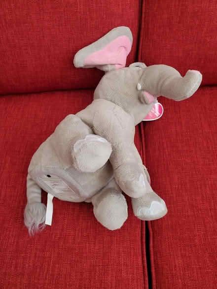 Photo of free Valentine Elephant (Near Experimental Farm) #2