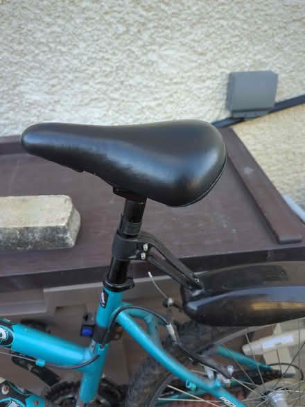 Photo of free Adult bike (Bare, LA4) #3