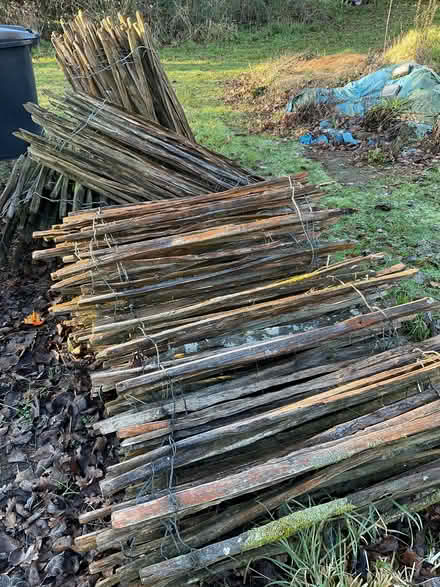 Photo of free Chestnut paling fencing (Great Fransham NR19) #1