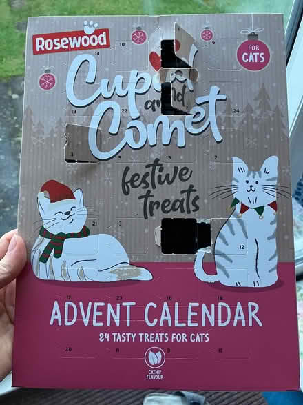 Photo of free Cat treats advent calendar (Maidstone ME15) #1