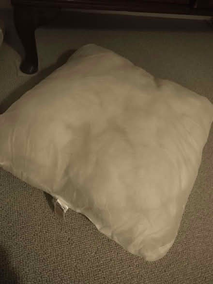 Photo of free square cushion pads (Dalry EH11) #4