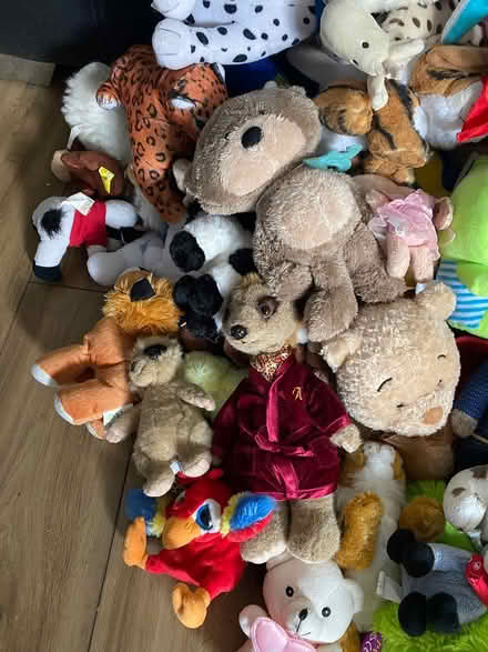 Photo of free Teddy Bundle Large 50+ Teddys (Horndon SS17) #3