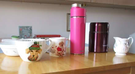 Photo of free Flasks (Furnace Green RH10) #1