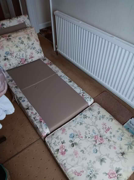 Photo of free Small sofa bed (Knighton LE2) #2