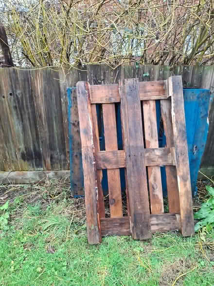 Photo of free 2 sturdy pallets (Hassocks) #2