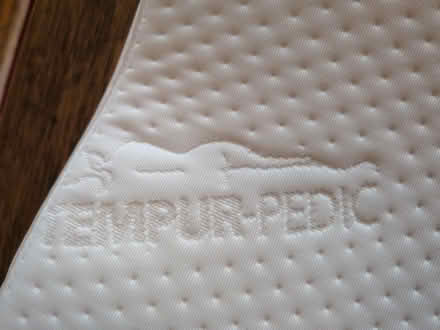 Photo of free Tempur-Pedic Pillow (Jamaica Plain) #3