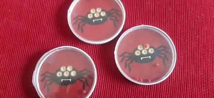 Photo of free Halloween stuff (Aldingbourne PO20) #3