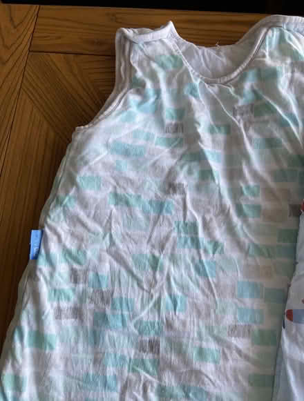 Photo of free 2 x 2.5 tog sleeping bags 18-36mths (Withington, M20) #2