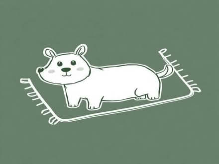 Photo of Rug (Kibworth Beauchamp LE8) #1