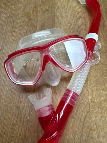 Photo of free Mask and snorkel (Parkhead S11) #1