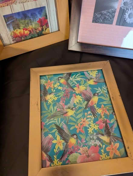 Photo of free Picture frames (Stockport, SK1 area) #1