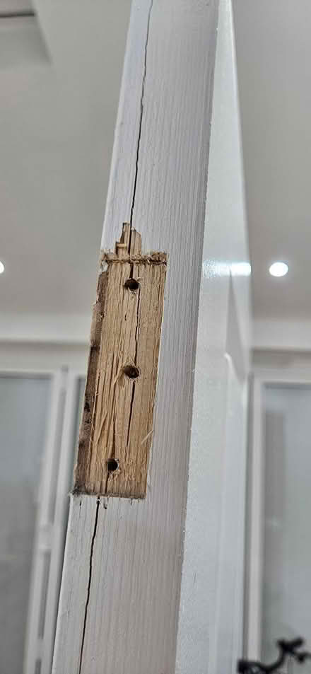 Photo of free Internal Doors (SM5 1RZ) #2