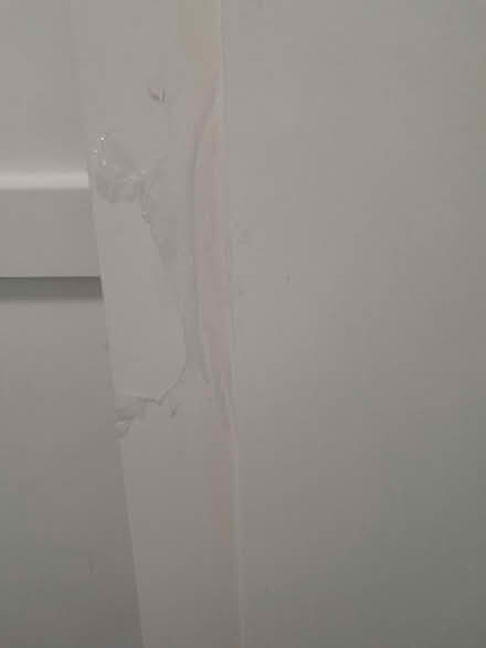 Photo of free Bath panel (Mitcham CR4) #2