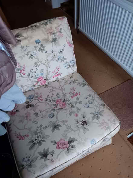 Photo of free Small sofa bed (Knighton LE2) #1