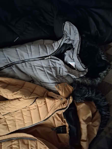 Photo of free Various women's coats new look mckenzie (Bulwell NG6) #1