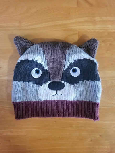 Photo of free Racoon hat 3-6 years (Ballyclare BT39) #1