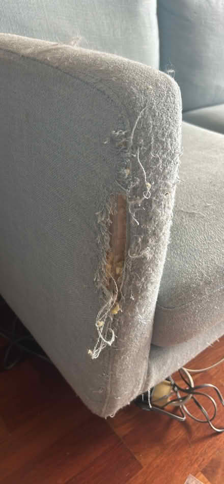 Photo of free 3 seater Freedom couch (Brunswick East) #2