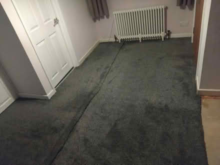 Photo of free Dark Grey carpet (Coventry CV6) #2