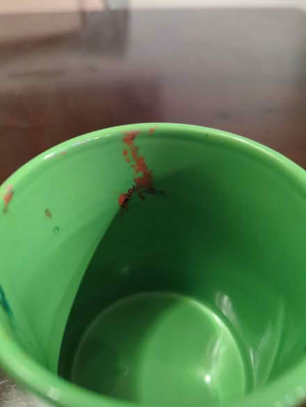 Photo of free I ❤️ NY mugs (Chelsea/Flatiron) #4