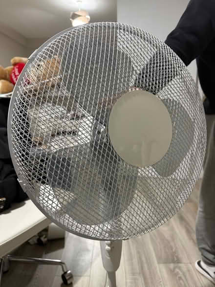 Photo of free Fan (Borehamwood) #2
