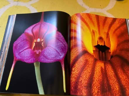 Photo of free āLifeā - HEAVY photography book (Seven Sisters N15) #4