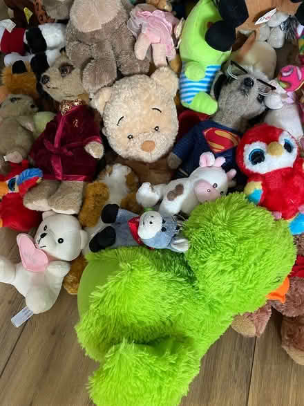 Photo of free Teddy Bundle Large 50+ Teddys (Horndon SS17) #2