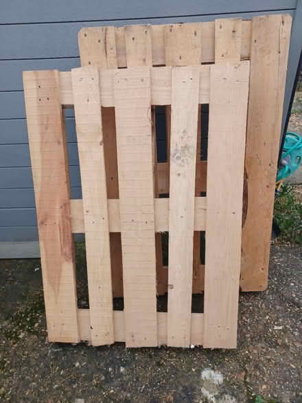 Photo of free Pallets x 2 (Portchester PO16) #1