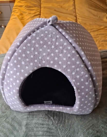 Photo of free Cat bed (Chaddesden) #1