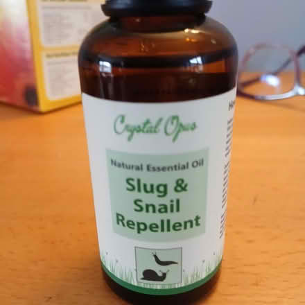 Photo of free Natural slug repellent (Bradford on Avon BA15) #1