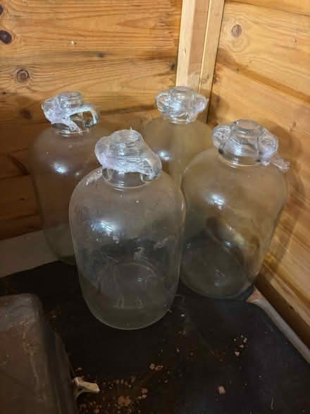 Photo of free Demi Johns (Wellington, somerset) #1