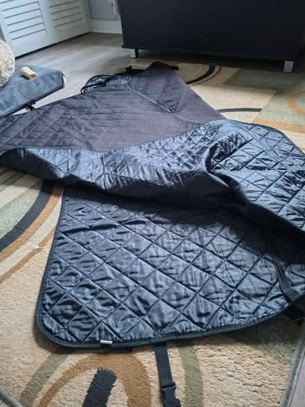 Photo of free Car seat or boot cover for dogs (Adamsdown CF24) #4