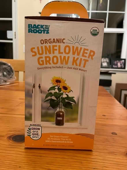 Photo of free sunflower grow kit (Wedgwood) #1
