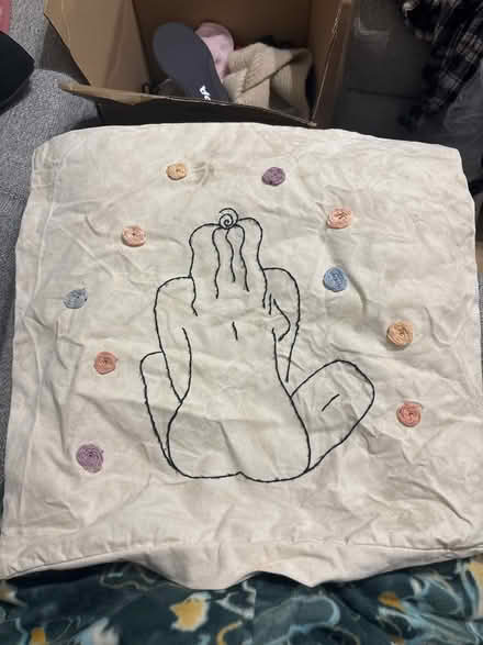 Photo of free Cushion cover (North shields NE30) #1