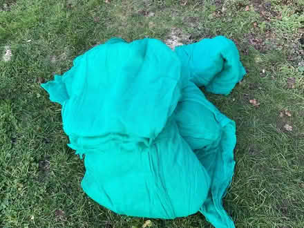 Photo of free Debris netting, ideal for crop protection (Great Fransham NR19) #3