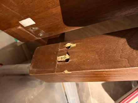 Photo of free Swoon mango wood bed frame (TN4) #1